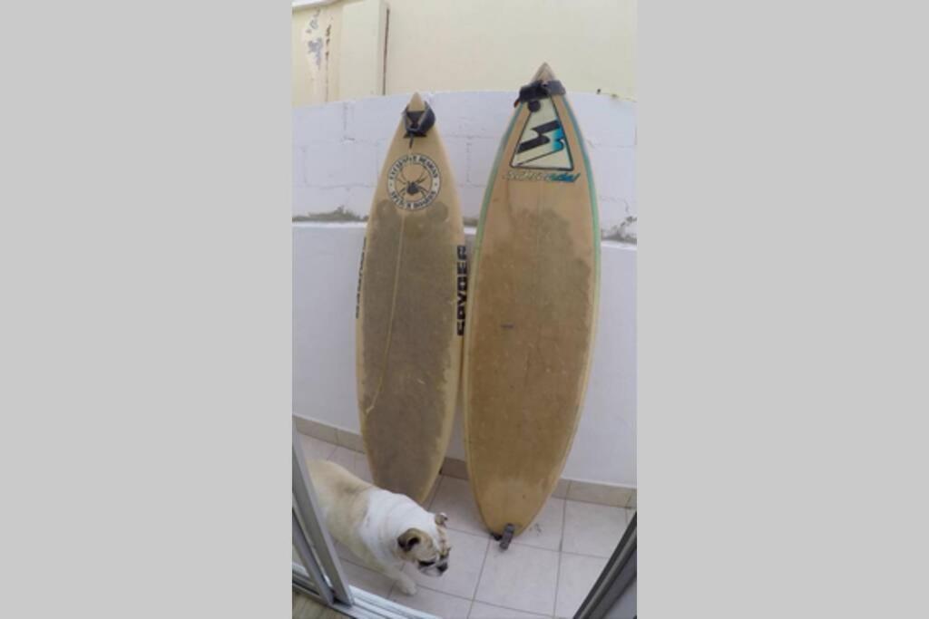 Surfboards Included In Your Stay!!! تيجوانا المظهر الخارجي الصورة
